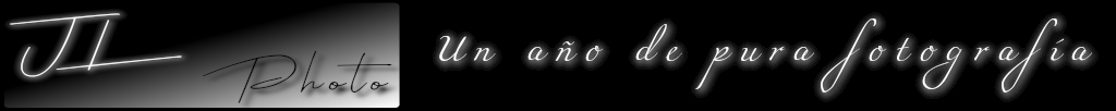 Un año de pura&nbsp;fotografía